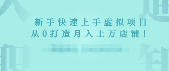 2022年虚拟项目实战指南，新手从0打造月入上万店铺-第一资源库