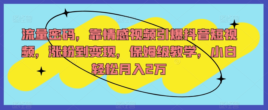 流量密码，靠情感视频引爆抖音短视频，涨粉到变现，保姆级教学，小白轻松月入2万【揭秘】-第一资源库